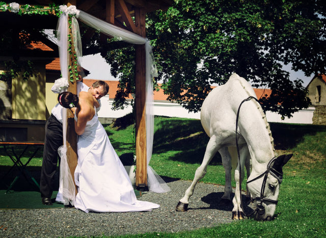 Svatební fotografie